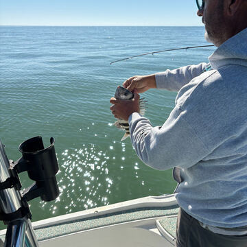 Sheepshead
